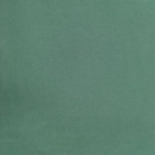 Load image into Gallery viewer, Sage Sweatshirt