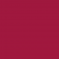 Classic Claret Anti-Static Dress Lining