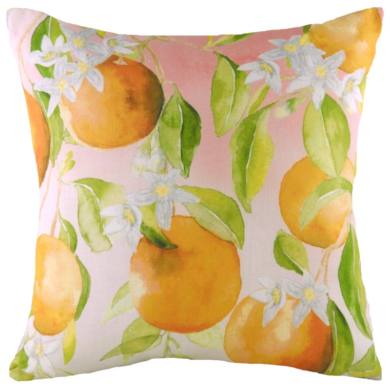 Fruit Oranges Cushion