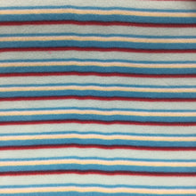 Load image into Gallery viewer, Blue Stripe Fleece