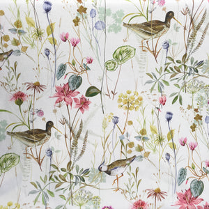 Spring Wetlands