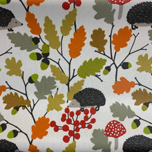 Load image into Gallery viewer, Prickly Autumn PVC (Matt)