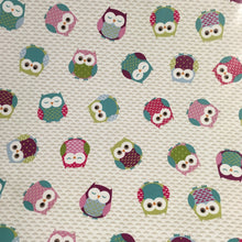 Load image into Gallery viewer, Owls Multi PVC