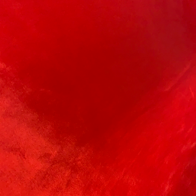 Red Two Tone Taffeta