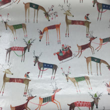 Load image into Gallery viewer, Festival Sleigh Ride PVC