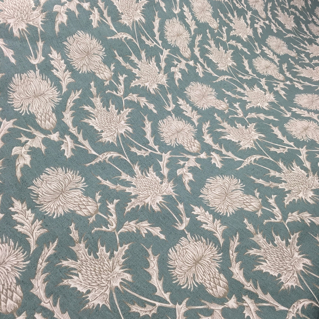 Carlina Teal