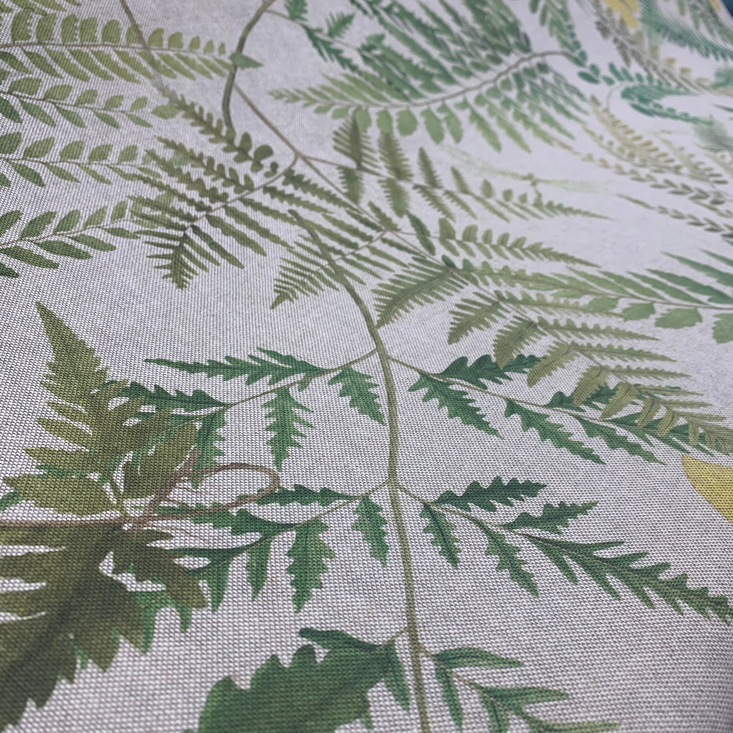Linen Fern Glade