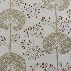 Moonseed Cranberry