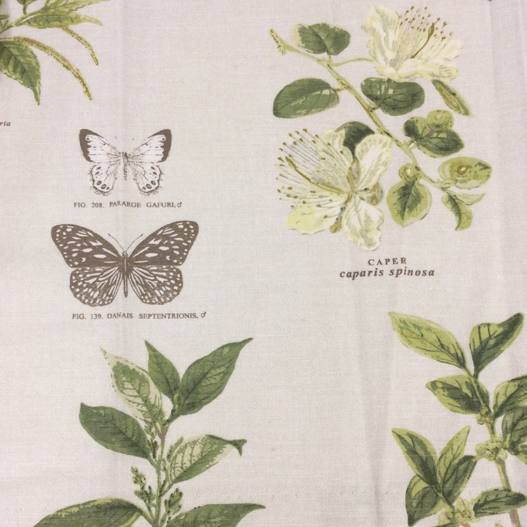 Botany Acacia (Mini Curtain)