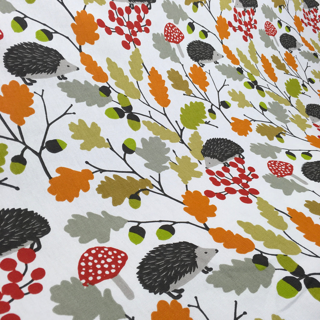 Autumn Prickly