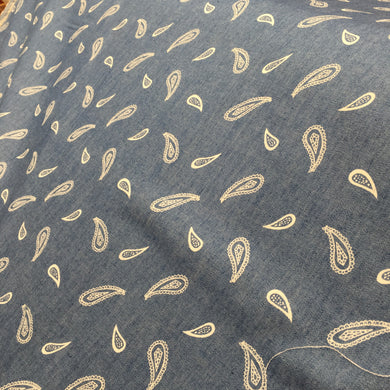 Light Denim Paisley Print