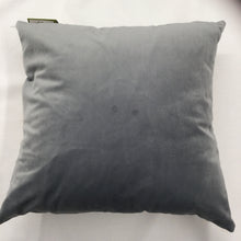 Load image into Gallery viewer, Amber Pingxi Abstract Cushion